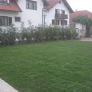 Garten, Gartenarbeiten, Gartenplanung, Gartengestaltung, Gartenumbau, Gartenpflege, Pflastersteine_und_Gartenwege, Steingarten, Rasenlegung_Pflanzung, Rodung