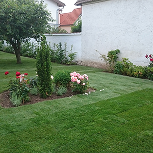 Garten, Gartenarbeiten, Gartenplanung, Gartengestaltung, Gartenumbau, Gartenpflege, Pflastersteine_und_Gartenwege, Steingarten, Rasenlegung_Pflanzung, Rodung