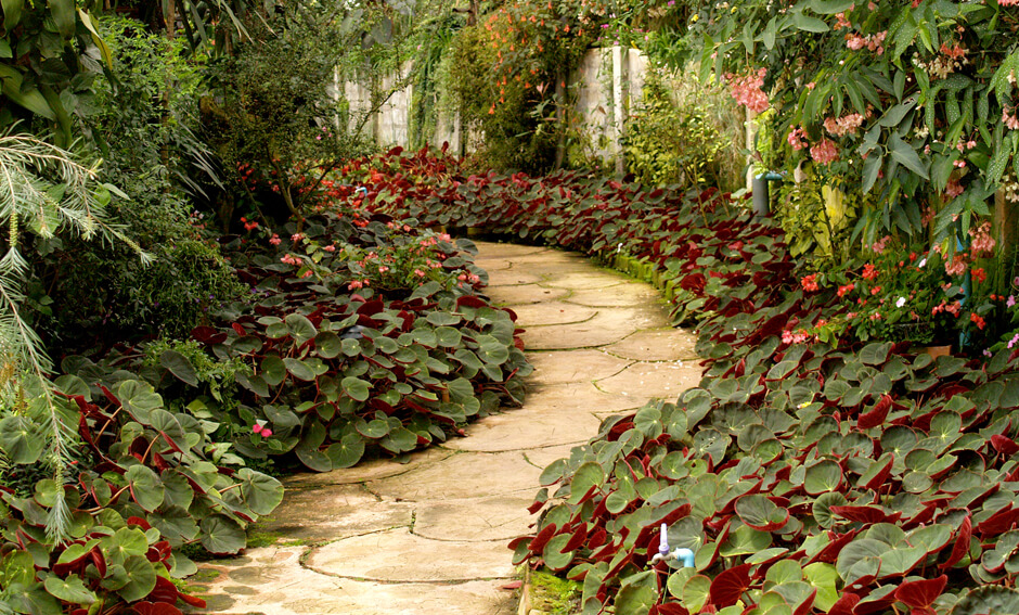 Pflastersteine und Gartenwege